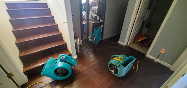 Best 24/7 water damage repair  in Cudahy, WI