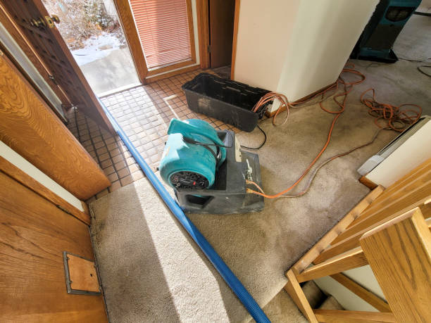 Best Water damage contractors near me  in Cudahy, WI