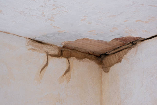 Best Residential water damage restoration  in Cudahy, WI