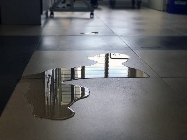 Best Emergency water damage restoration  in Cudahy, WI