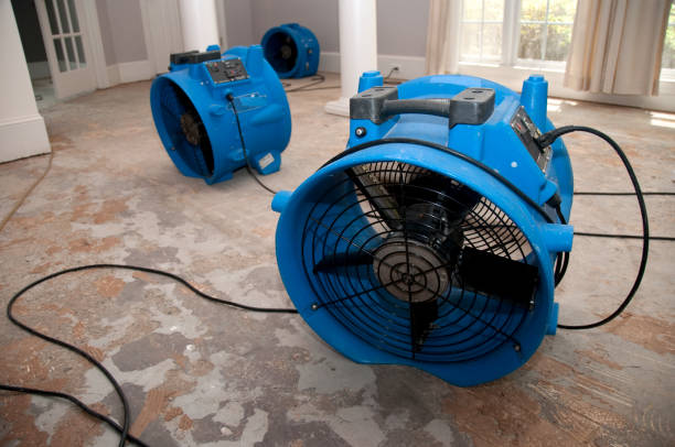 Best Sewage cleanup and water damage restoration  in Cudahy, WI