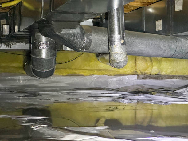 Best Water damage restoration mold remediation  in Cudahy, WI