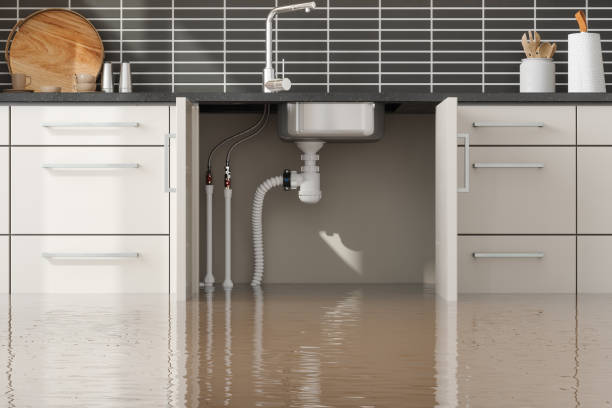 Professional Water damage restoration in WI